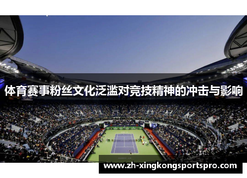 体育赛事粉丝文化泛滥对竞技精神的冲击与影响